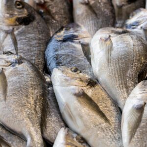 Buy Tilapia Fish Online