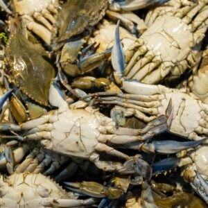 Buy King Crab Online