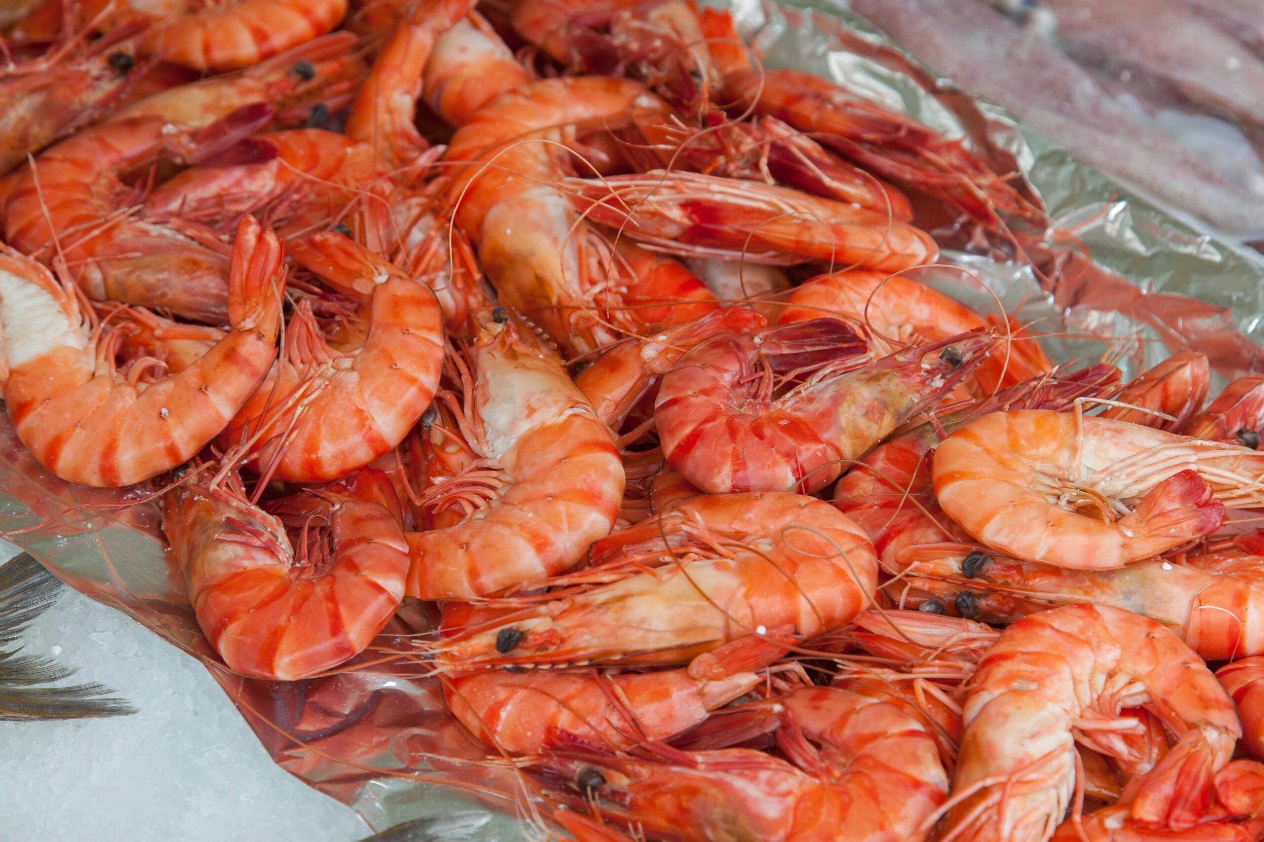 Buy Shrimp Online