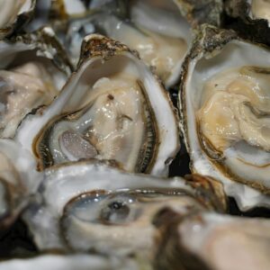 Buy Oysters Online